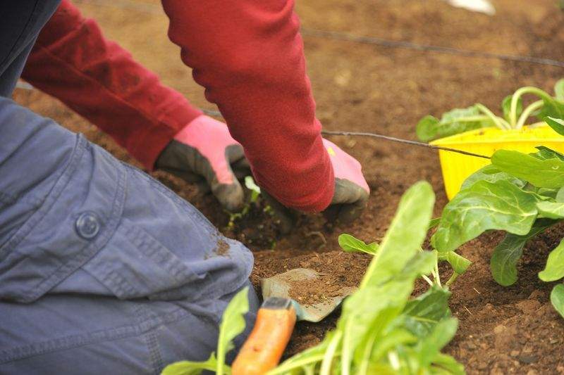 春の庭づくりで大切にしたい植栽の考え方